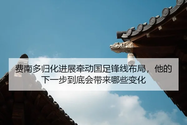 费南多归化进展牵动国足锋线布局，他的下一步到底会带来哪些变化